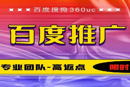 百度广告投放策略与效果评估案例